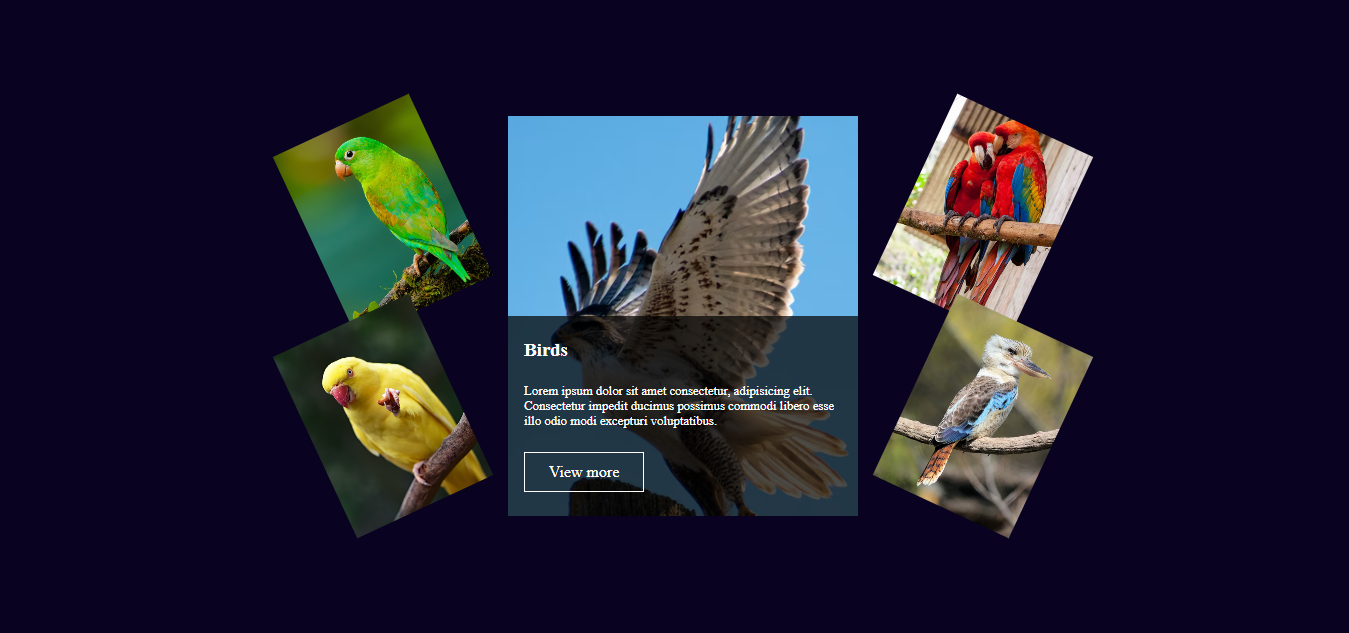 card-hover-effect